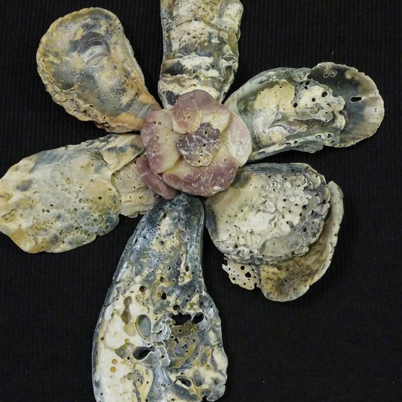 Shell Flower 9 x 12 inch shadow box - Picture 2 of 5